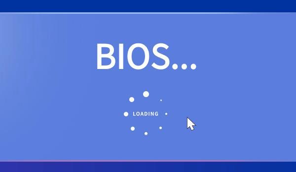 BIOS 启动设置界面
